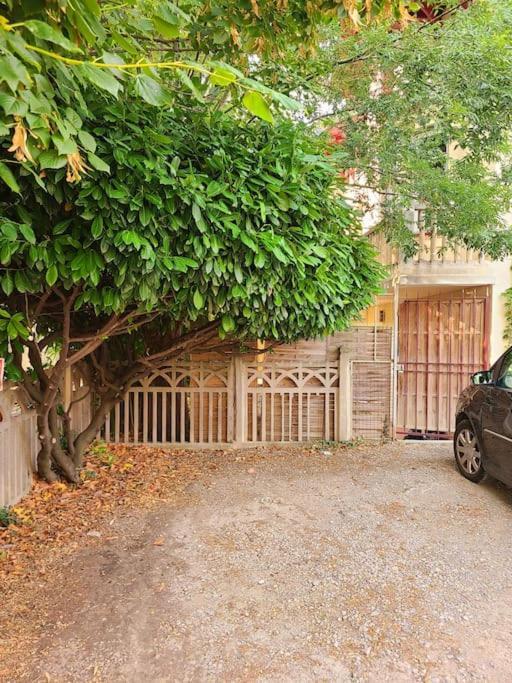 Les Bambous - Rez De Jardin Centre - Parking Privatif, Wifi * Millau