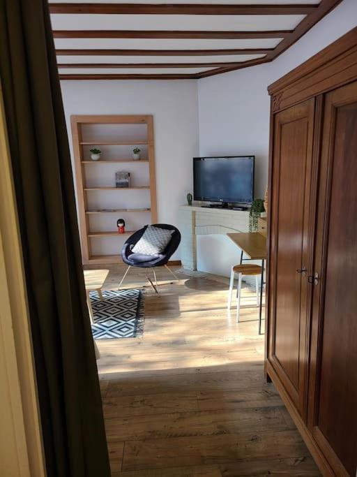 Les Bambous - Rez De Jardin Centre - Parking Privatif, Wifi Apartment Millau
